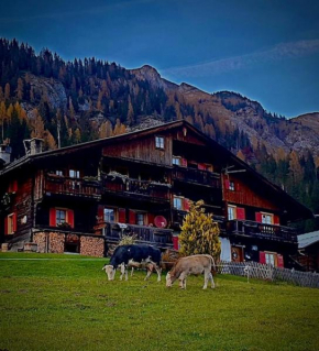 Chalet Sappada